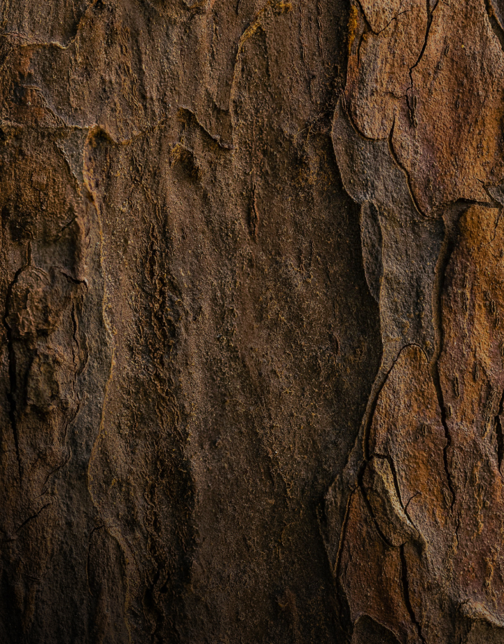 Textureed tree bark with rough, cracked brown and reddish layers and vertical ridges.