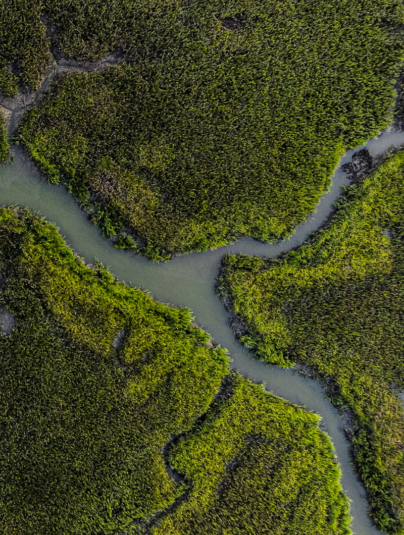 Aerial view of a winding river cutting through dense green mangrove or forest, forming curves and inlets with vibrant foliage along the waterway.