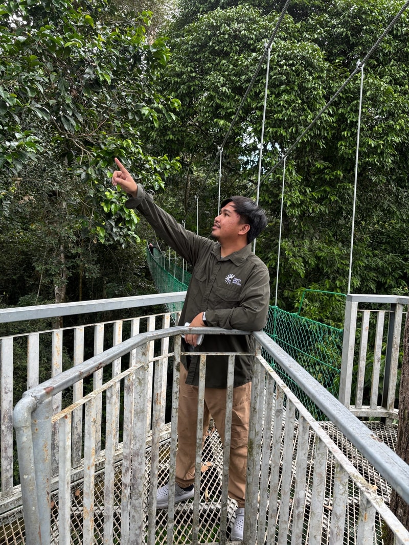 A man stands on a metal observation platform with railing, pointing toward trees in a lush, green forest surroundings.