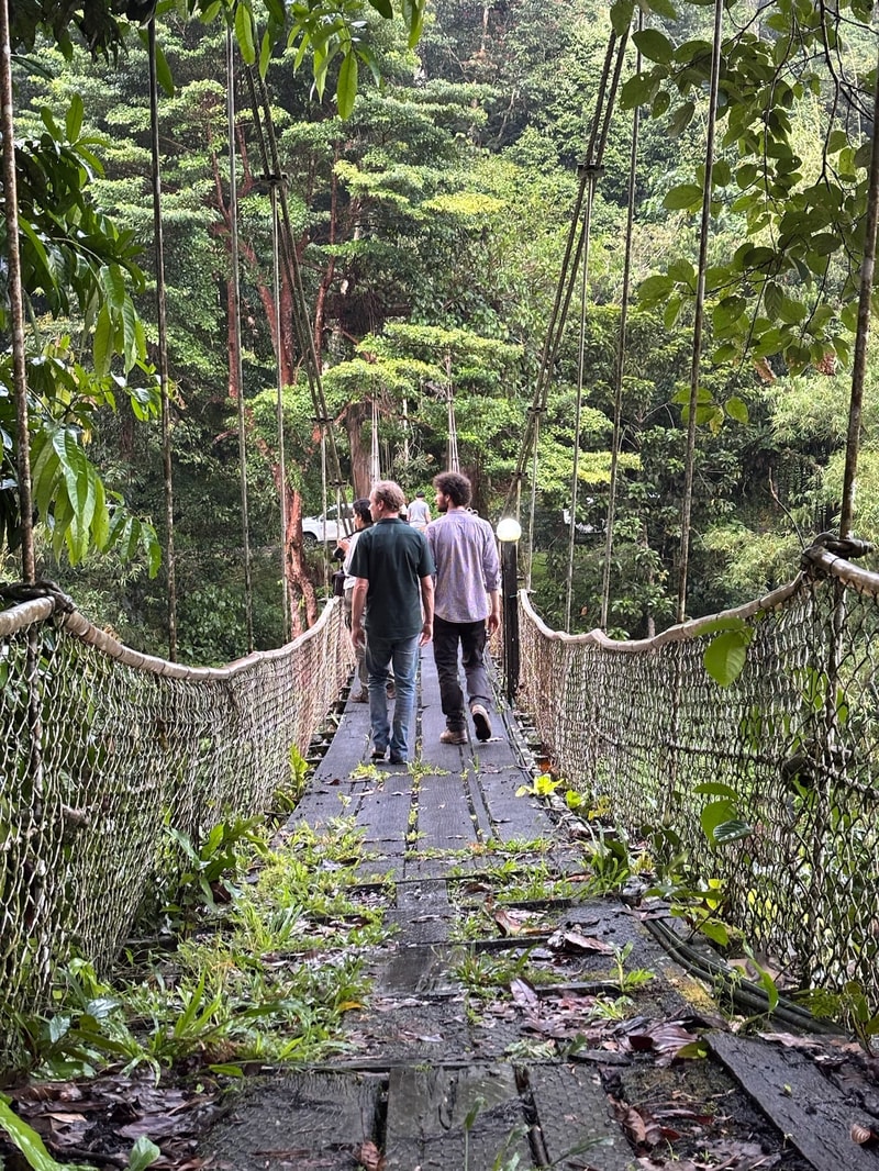 Suspension footbridge in a lush forest, several people walking away from the camera along a narrow planked path with rope rails and greenery surrounding.