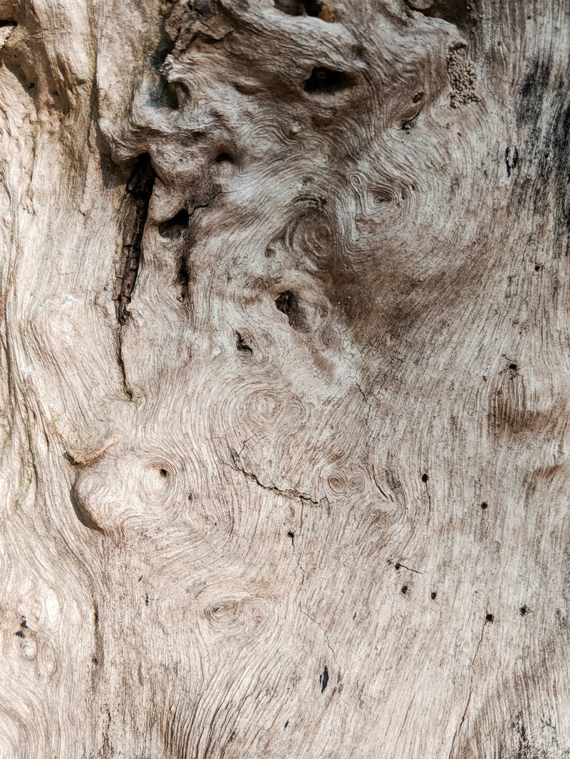 Close-up of aged wood with swirling grain patterns, knots, and natural textures, showing weathered, pale brown surface and small holes scattered across the surface