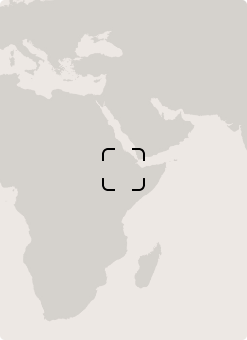 Abstract light gray map focusing on the Middle East region with a centered camera crosshair marker.