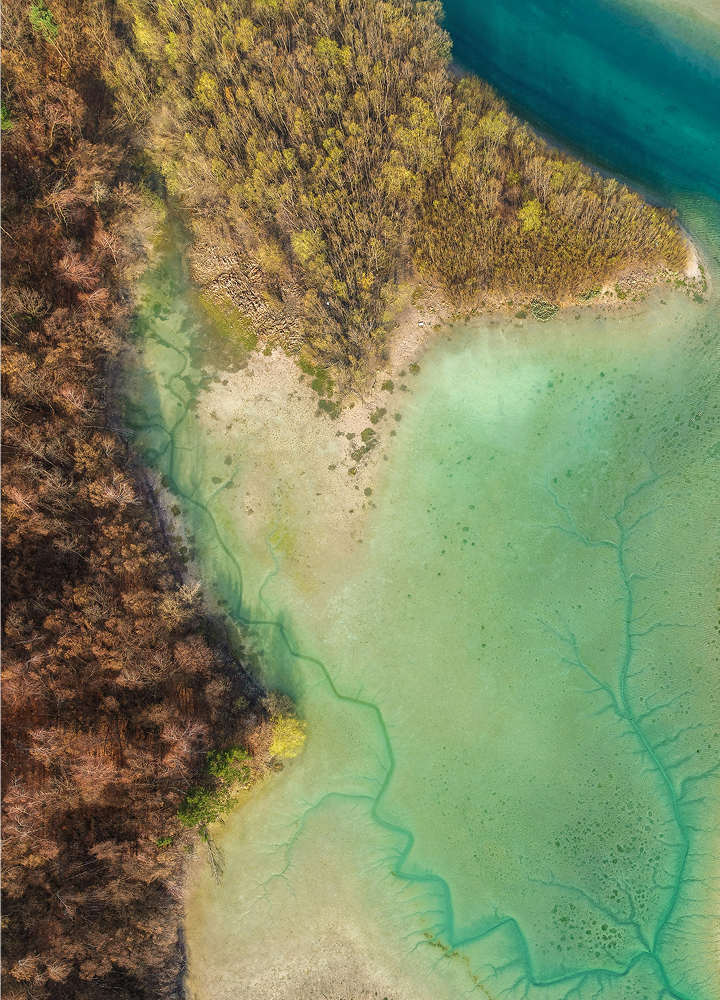 Aerial view of a forested shoreline meeting turquoise water, with a sandy, irregular beach and visible green/blue tidal patterns along the edge.