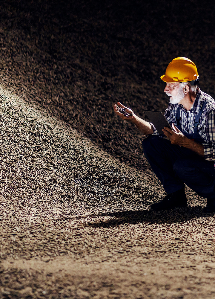 An older person wearing a yellow hard hat and plaid shirt crouches beside a large pile of long, thin wooden pellets, holding a tablet and a handful of pellets.