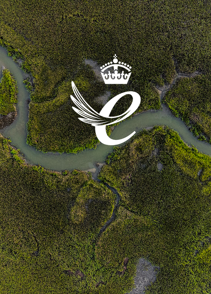 Logo overlay featuring a white crown above a stylized letter with winged accents, set against a mossy, winding river landscape.