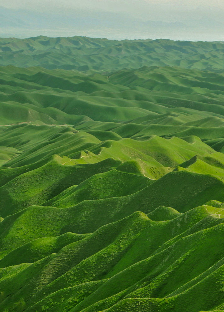 Rolling green hills stretch to the horizon, forming soft, wind-sculpted ridges of vibrant grass under a pale sky.