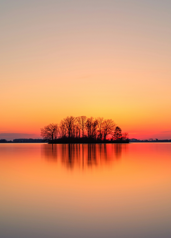 A tranquil lake at sunset with a small cluster of leafless trees on a tiny island, reflected in the smooth water as warm orange, pink, and gold hues.