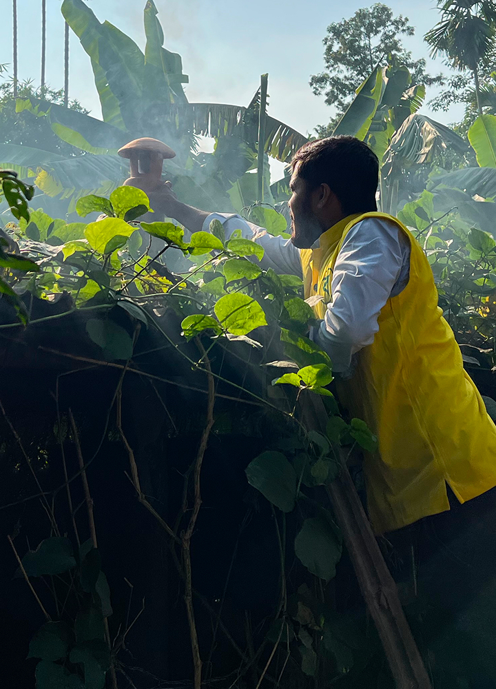 Two people work among dense green vines; one in a yellow vest extends a tool toward a worker in the background amid smoke or haze, outdoors with banana plants.