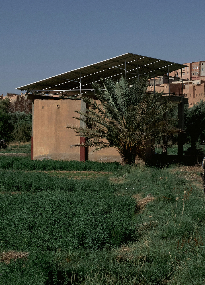 Sunlit scene with a small building topped by a large metal roof, palm tree in front, green fields in foreground, and terracotta hills in the background under a clear blue sky.