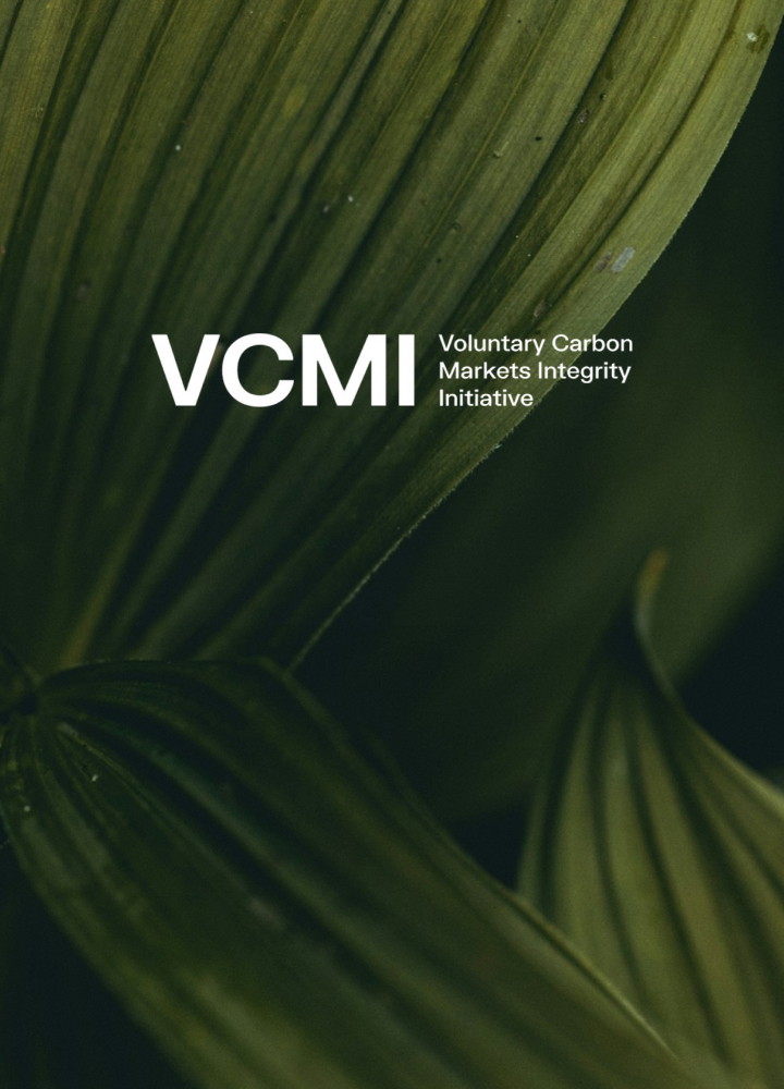 VCMI logo text overlay on a dark green close‑up of palm-like leaves, with “Voluntary Carbon Markets Integrity Initiative” next to the bold VCMI acronym.