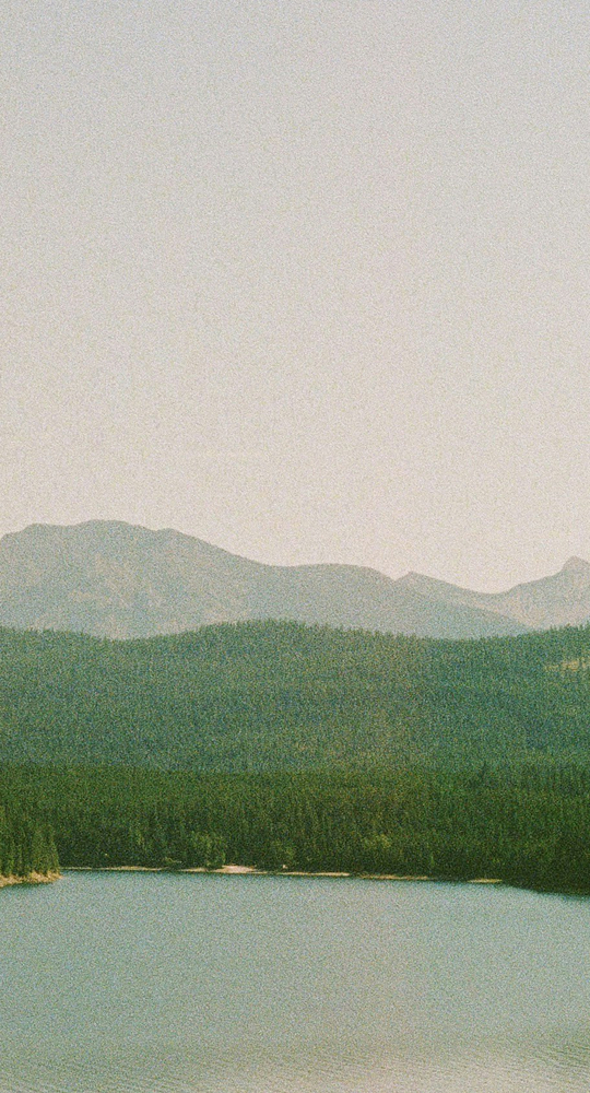 A tranquil landscape with a calm lake in the foreground, dense evergreen forest along the shore, and layered mountains fading into a pale sky.
