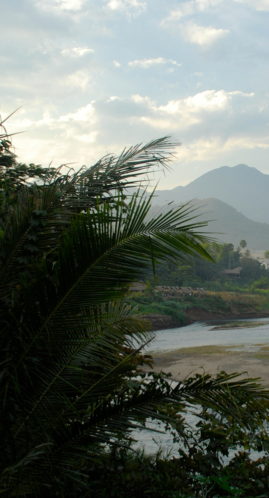 Lush tropical scene with large palm fronds in foreground, a winding river, distant hills, and a partly cloudy sky over a rural landscape.