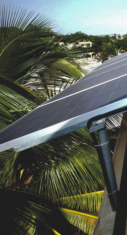 Solar panels mounted on a metal frame extend over lush tropical palm fronds, with a bright blue sky and distant rooftops visible in the background.