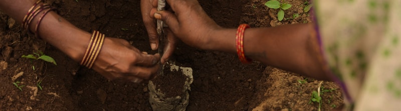Two people with colorful bangles are working together to plant or dig in rich brown soil, hands gripping a wet trowel and rock, small green plants nearby.