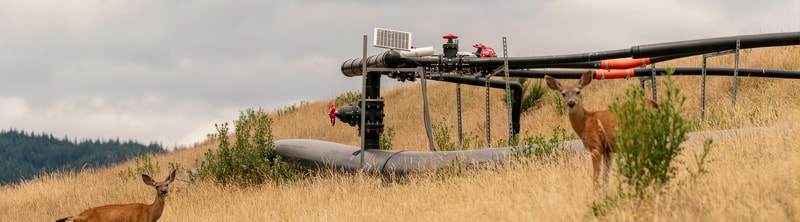 Deer standing in tall golden grass beside an industrial irrigation system with pipes, valves, and a rural hillside background under a cloudy sky.