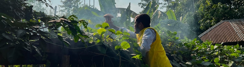 A man in a yellow vest reaches over a leafy fence to tend plants in a sunlit garden, smoke or mist drifting through dense green foliage and a corrugated roof in the background.
