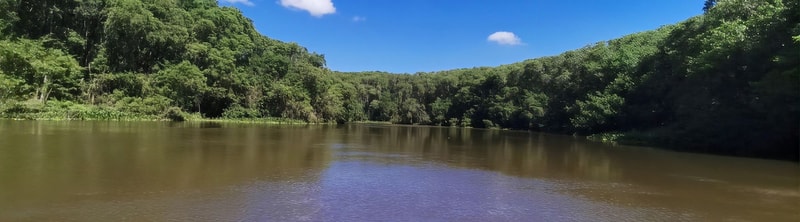 Wide river bordered by dense green trees under a bright blue sky with a few white clouds; calm, reflective water and lush forest on both banks.