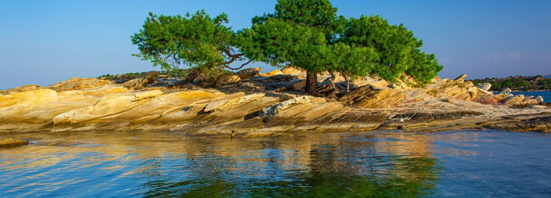 A small rocky island with a lone green tree growing among warm, layered granite rocks, calm blue water in the foreground reflecting the scene under a clear sky.