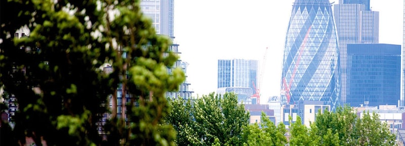 City skyline with modern high-rise buildings visible beyond a foreground of lush green trees and foliage, under a bright, clear sky.