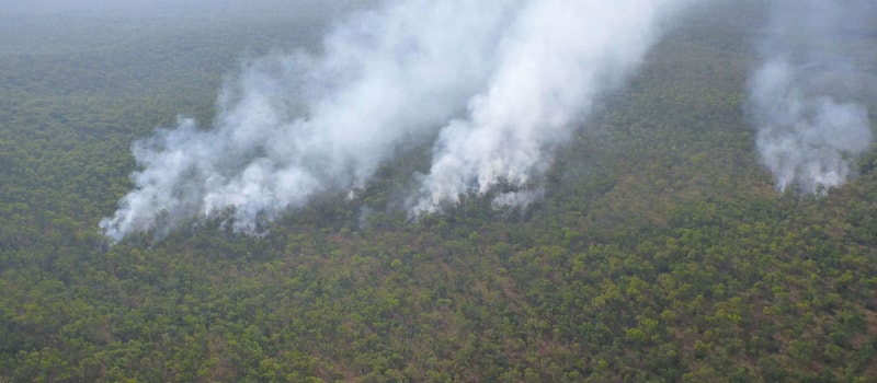 Aerial view of a dense green forest with several extending plumes of white smoke rising from multiple spots, indicating small wildfires scattered across the trees.