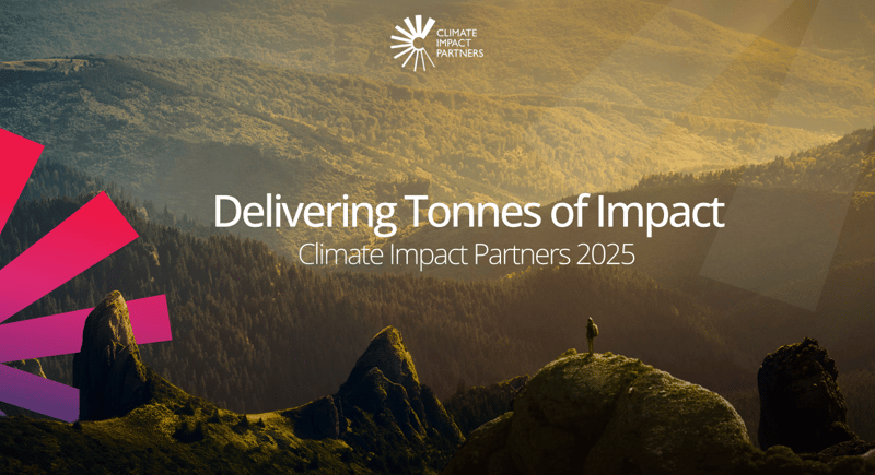Person stands on a rocky outcrop overlooking a misty, forested valley sunset with hills in the distance and a logo reading Climate Impact Partners at the top.