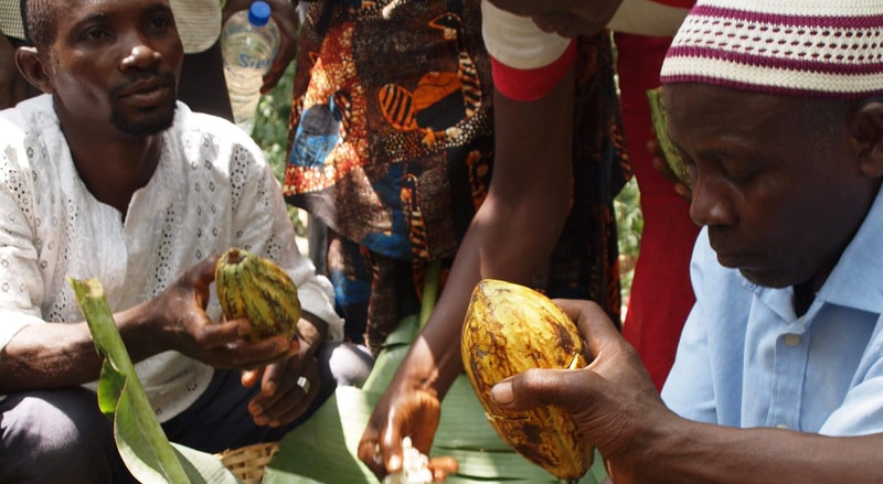 Two men sit outdoors in bright clothing, holding and peeling tropical fruits (one with a striped rind) as others stand nearby and a water bottle is visible.