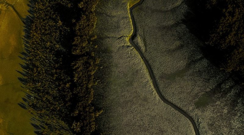 Aerial view of a winding dark river meandering through a grassy field with dense trees along the left edge, illuminated by a warm, golden light.