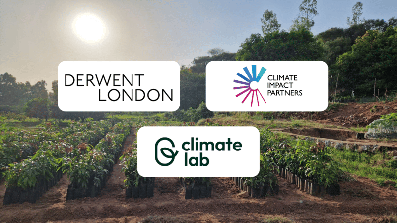 Three white rounded rectangles float over a sunny plant nursery with rows of potted saplings and greenery in the background, featuring logos for Derwent London, Climate Impact Partners, and Climate Lab.