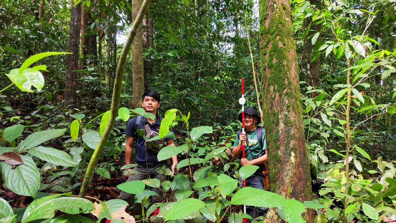 Two people hike through dense jungle, one standing left with a backpack and dark shirt, the other on the right holding a red and white hiking pole beside a mossy tree.