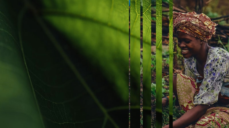 Smiling person wearing a patterned headwrap and dress sits outdoors, cut by vertical green bars across the frame, with lush foliage in the background.