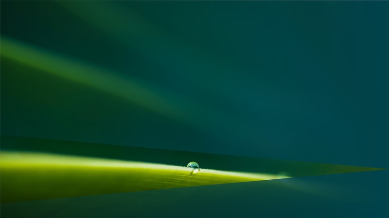 Abstract green gradient with diagonal light streaks and a small water droplet on a leaf blade near the bottom center