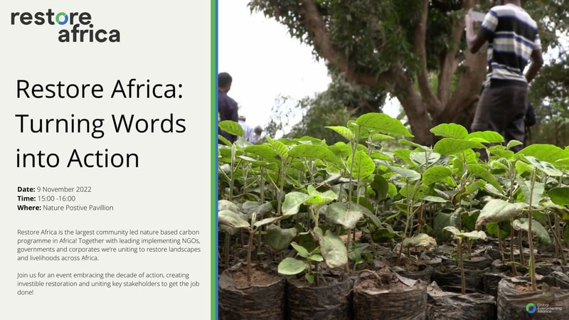 Resture Africa event poster on left with text “Restore Africa: Turning Words into Action” and on the right a garden of young saplings in bags with a person standing in the background.