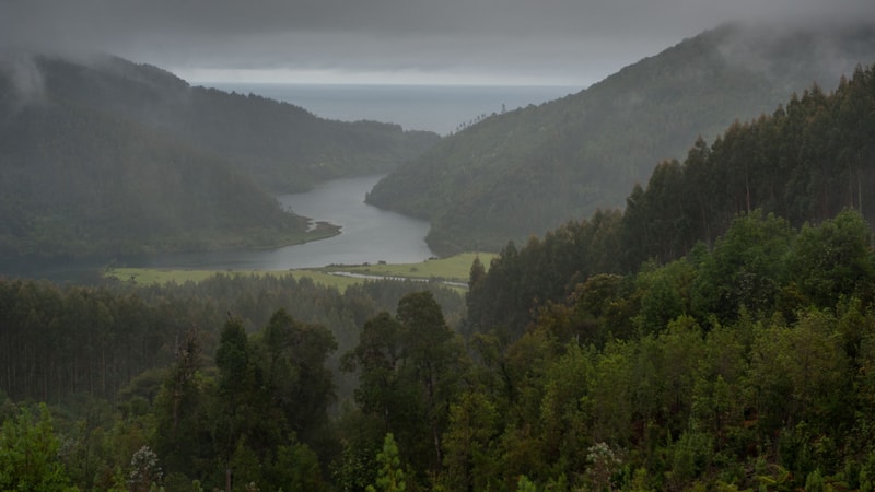 A misty valley with a winding river between forested hills under dark cloudy skies, small green fields at the valley floor, and dense trees in the foreground.