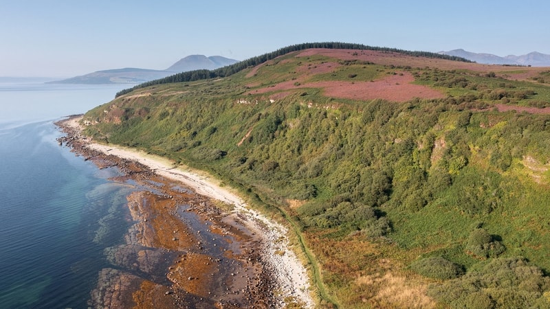 Aerial view of a coastal hillside with green trees, purple heather, and a rocky shoreline curving along calm blue water under a clear sky.