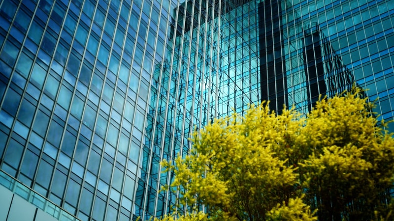 Glass-front office building with blue-tinted windows creating geometric grid patterns, reflecting light, alongside vibrant yellow-green foliage in foreground.