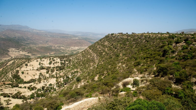 Arid hillside landscape with terraced slopes, scattered trees, and distant valleys under a clear blue sky, rocky ridge forming a prominent escarpment.