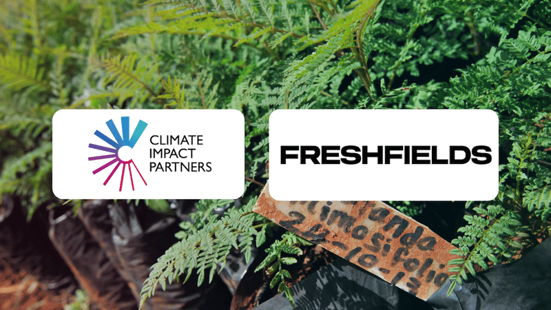 Two white rounded rectangles display logos: Climate Impact Partners on the left and FRESHFIELDS on the right, placed over green fern plants and a weathered plant tag.