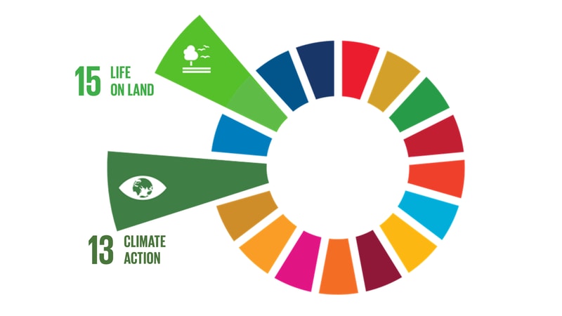 Circular infographic of the United Nations Sustainable Development Goals, highlighting goals 13 Climate Action and 15 Life on Land with colorful wedge segments and icons.