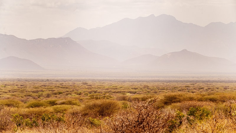 Dusty desert plain with low shrubs stretches to distant layered mountains under hazy pale sky, muted earth tones, tranquil and expansive landscape.