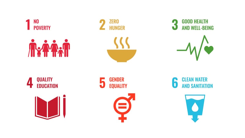 Six colorful panels representing SDGs: 1 No Poverty with a family icon, 2 Zero Hunger bowl, 3 Good Health with heartbeat symbol, 4 Quality Education open book and pencil, 5 Gender Equality symbol, 6 Clean Water with water drop icon.