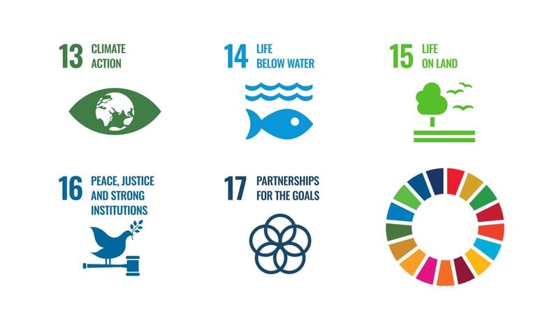 Sets of colorful icons and labels for UN Sustainable Development Goals: 13 Climate Action, 14 Life Below Water, 15 Life On Land, 16 Peace and Justice, 17 Partnerships, plus a circular multicolor goal wheel.