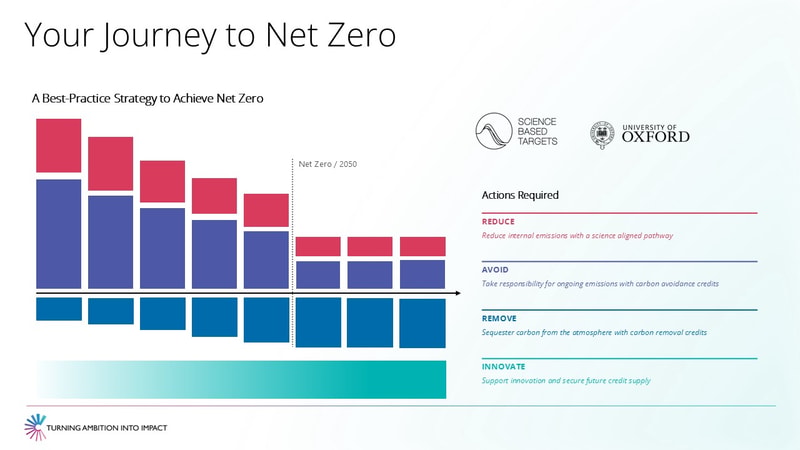 Graphical slide showing a stacked bar chart titled “Your Journey to Net Zero” with colored bars (red, purple, blue) and a dashed Net Zero line, plus sections for Actions Required (REDUCE, AVOID, REMOVE, INNOVATE) on the right, logos at top right, and a “TURNING AMBITION INTO IMPACT” footer.