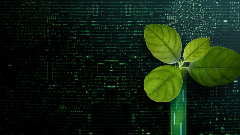 Young green plant with several leaves growing beside a glowing green digital data stream background.