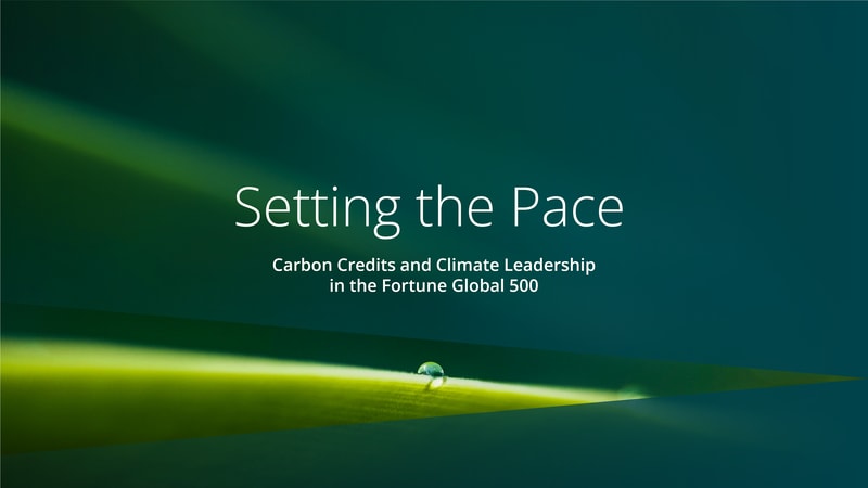 Slide with a green-teal gradient background and layered diagonal shapes; centered title “Setting the Pace” with subtitle “Carbon Credits and Climate Leadership in the Fortune Global 500.”