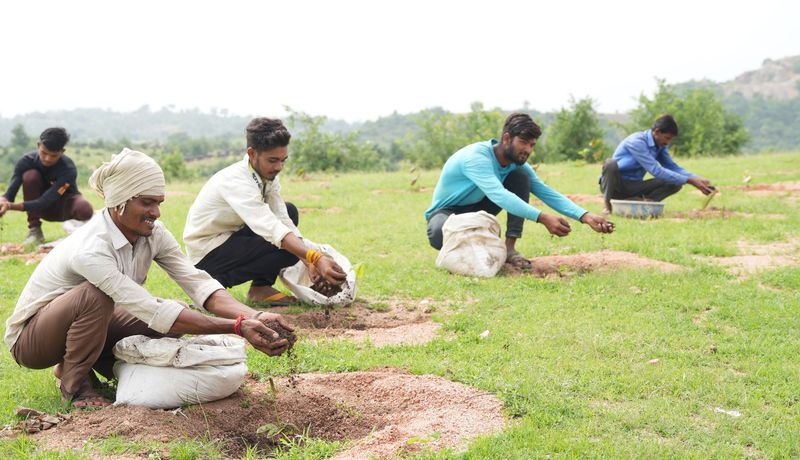 Group of men sitting on sacks plant saplings in a grassy field, digging small holes with their hands and shaping soil with focused expressions.