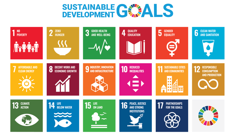 Sdg logos content width image 1328x993 png 800x460 crop progressive subject location 664471 subsampling 2 upscale