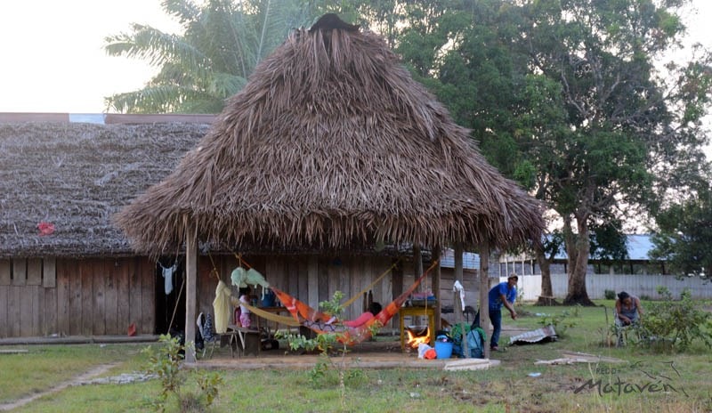 Thatched-roof hut in a grassy yard with people relaxing in hammocks and a few items scattered on the ground near a wooden shed and trees.