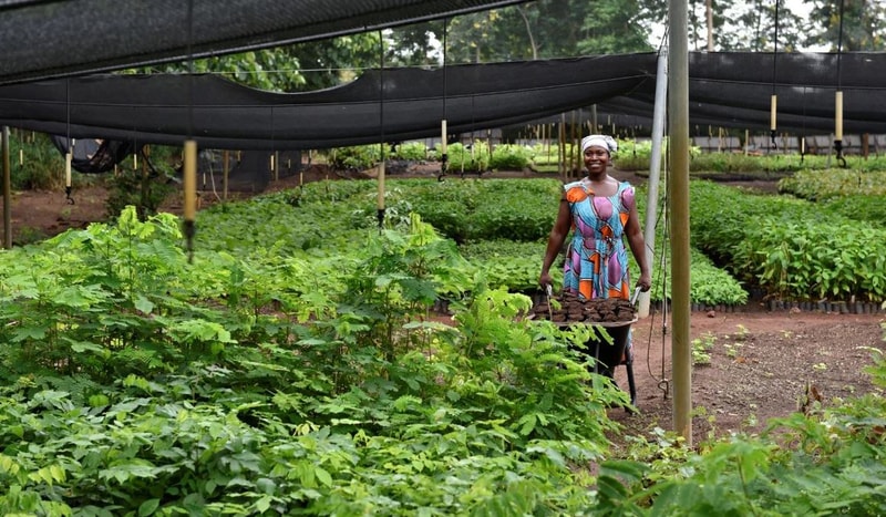 A smiling woman in a colorful dress stands among lush green plants under a shaded greenhouse, carrying a round tray of soil or clay disks.