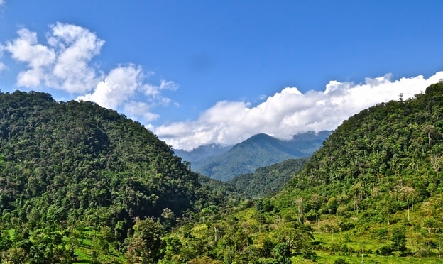 Lush green valley framed by forested hills under a bright blue sky with scattered white clouds and distant mountain peak.