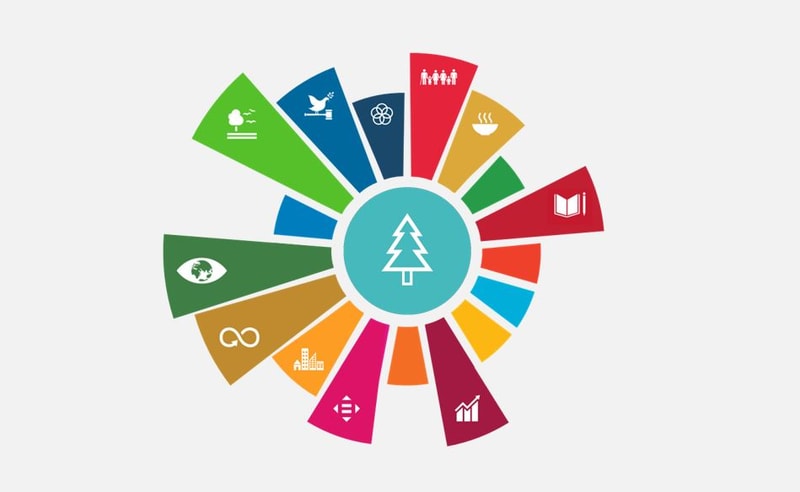 Circular color wheel with a teal center containing a white tree icon; multiple colored segments around it, each featuring different white symbols.